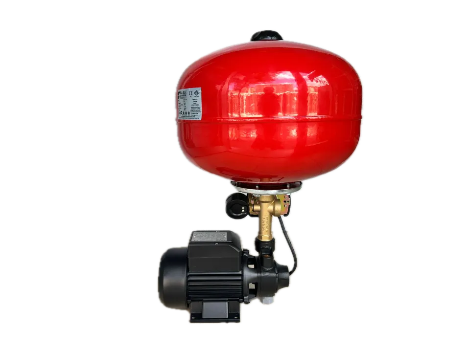 İMPO QB 80-24 Lt Tanklı Hidrofor 3 Kat 5 Daire 1  HP Monofaze